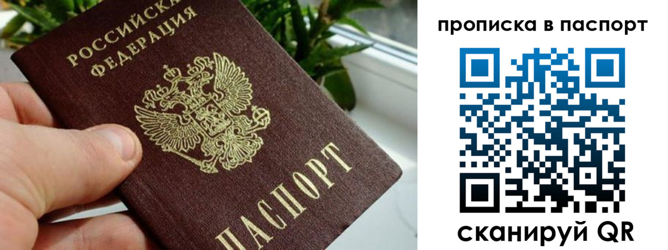 временная регистрация поиск в Нариманове